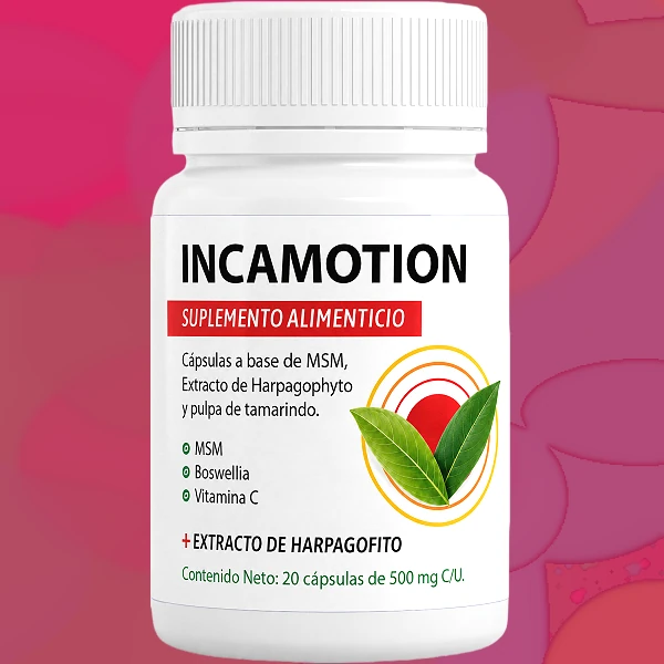 IncaMotion