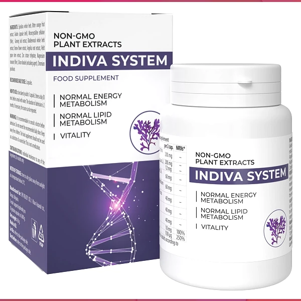 InDiva System